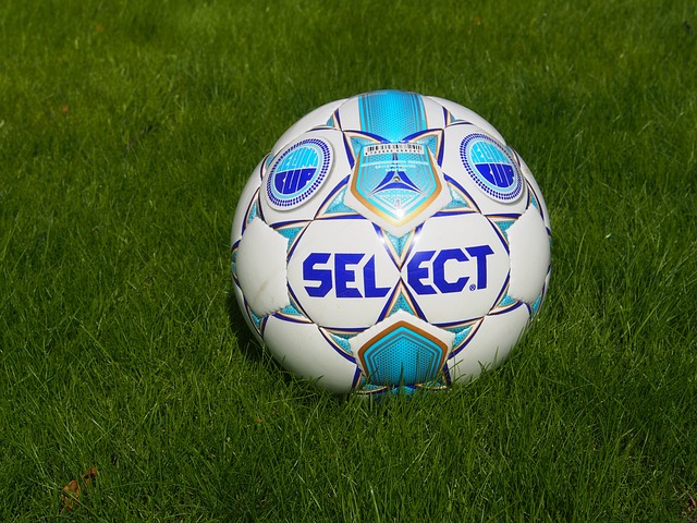 本文将为您 本文将为您