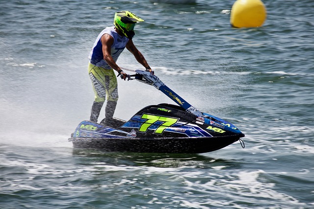 职业生涯的 职业生涯的