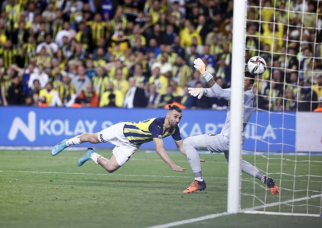 快速增长 快速增长