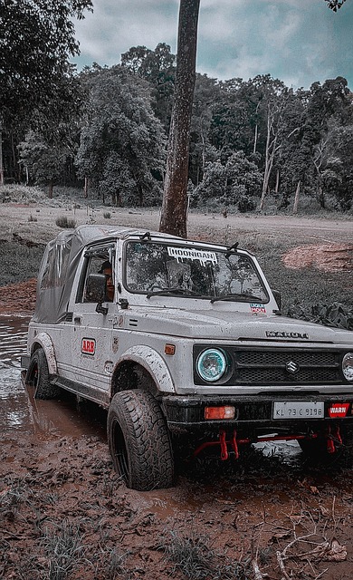 深思熟虑的 深思熟虑的