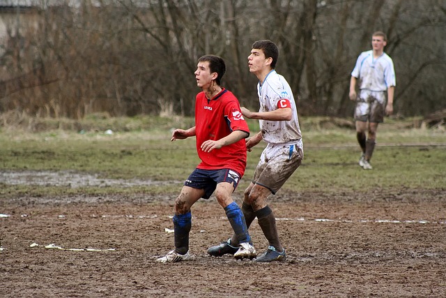 高校在人工 高校在人工