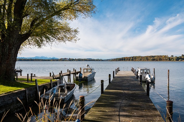 過分的情緒 過分的情緒